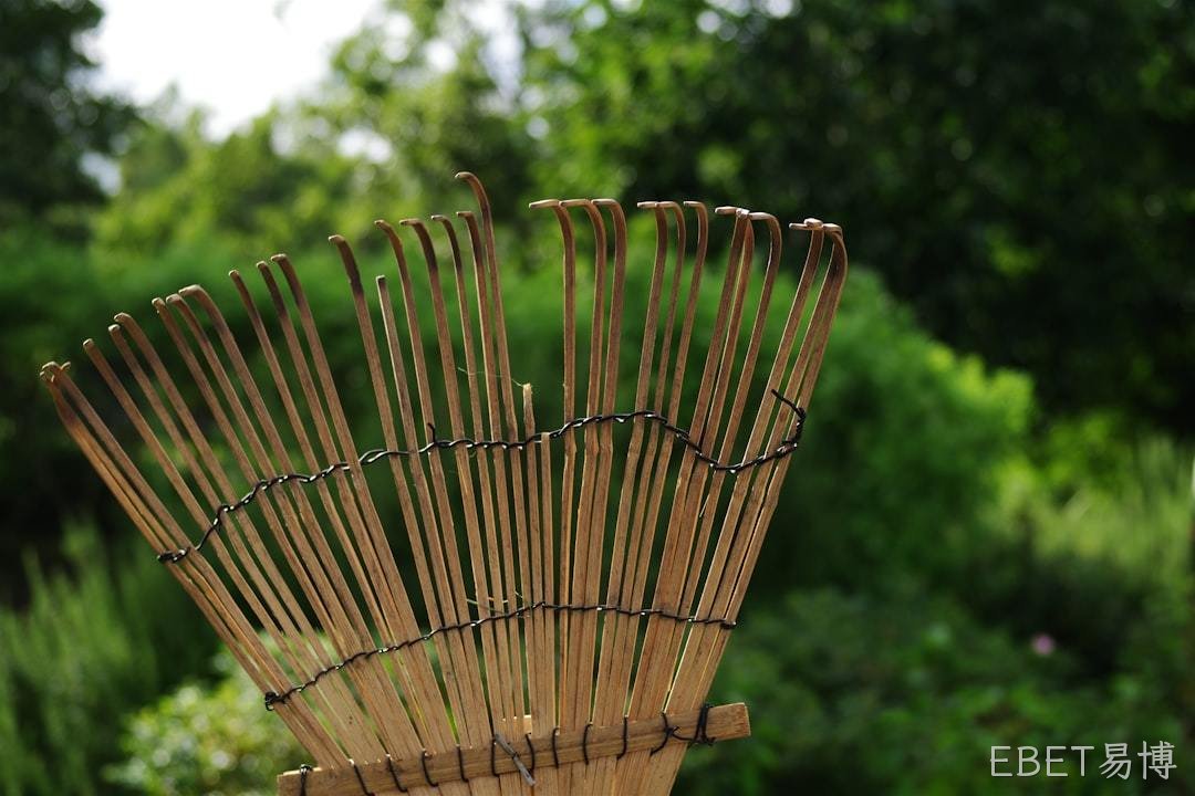2026年**耙片工作原理实用详解 禹城EBET易博专业科普解读